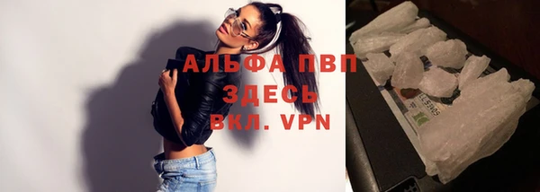 прущие крисы Аркадак