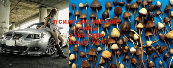 крисы Баксан