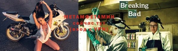 крисы Баксан